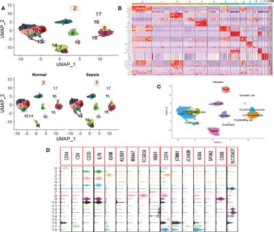 Identification of a novel sepsis prognosis model and analysis of possible drug application prospects: Based on scRNA-seq and RNA-seq data